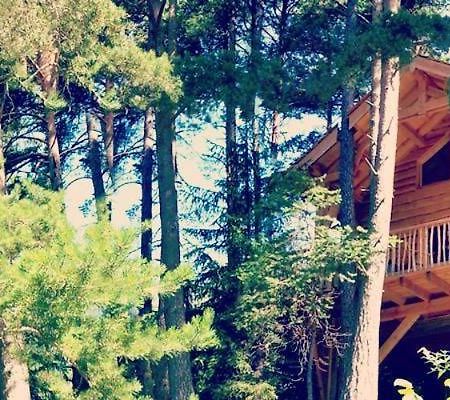 Les Cabanes Des Pins Sylvestres Saint-Martin-Vésubie Екстериор снимка