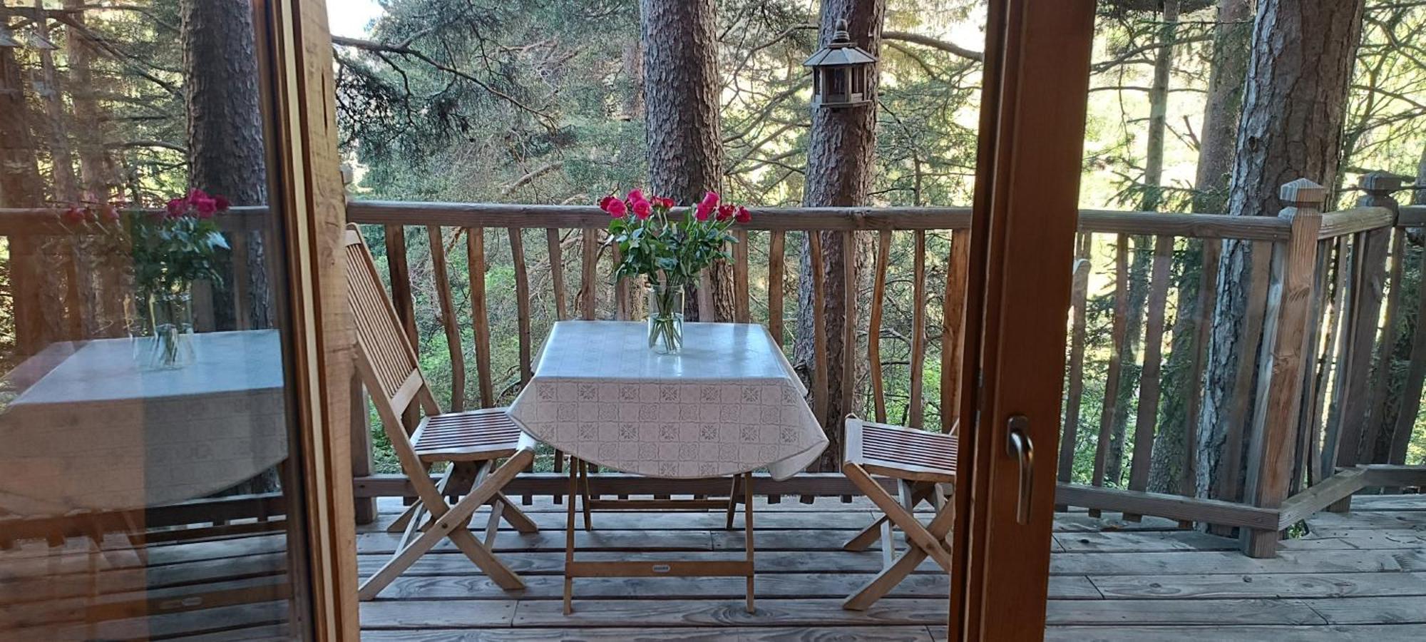 Les Cabanes Des Pins Sylvestres Saint-Martin-Vésubie Екстериор снимка