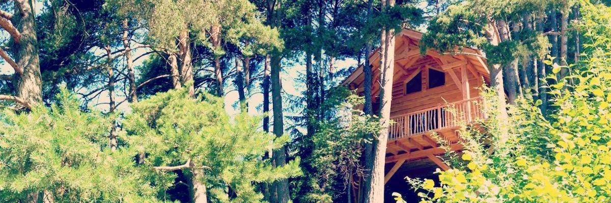 Les Cabanes Des Pins Sylvestres Saint-Martin-Vésubie Екстериор снимка